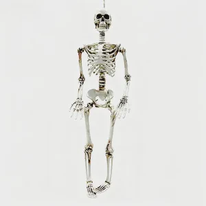 Cross Border Halloween Plastic Skeleton Model Garden Party Decoration Haunted House Props Waterproof Rechargeable Battery