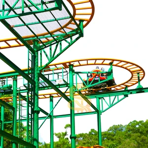 Hot Selling Spinning Roller Coaster Safe Stable And High Quality For Scenic Spots