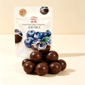 Frozen Chocolate Ice Cream Confectionery Dual Layer Shell Blueberry Filling Kids Lunchbox Afternoon Tea Energy Boosting Bulk