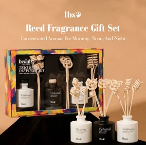 Luxury Eco-Friendly Christmas Plant Plastic Stick Reed Diffuser Gift Set