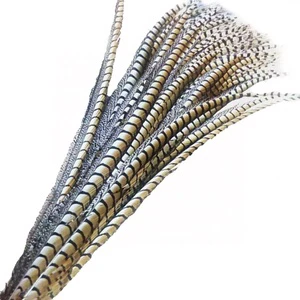 Cheap Lady Amherst Pheasant Dyed Pheasant Long Tail Feathers For Crafts Holiday Party Carnival