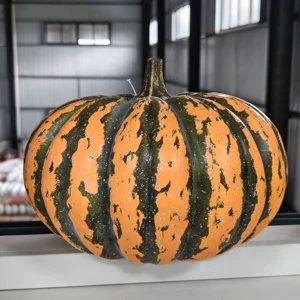 Thanksgiving Giant Realistic Pumpkin Halloween Home Display Decoration Item Retro Black and Orange Striped Realistic Pumpkin