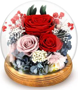 Eternal Preserved Rose Bouquet Real Flowers Gift Box for Mothers Day Valentines Birthday Anniversary Decoration