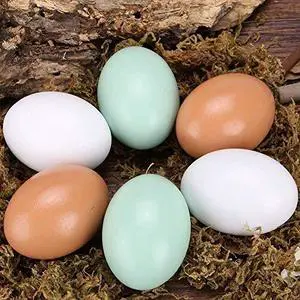 Unfinished DIY Painting Crafts Smooth Standing Decorate Various Sizes Cartoon Style Hot Selling Wholesale Wooden Easter Eggs