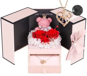 Romantic Valentines Gifts, Preserved Roses Forever Flowers With Sterling Silver Necklace Mothers Day Gifts 2024 Gift Item