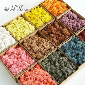 HFloral Wholesale 200g Box Eternal Green Preserved Moss Panels for Restaurant Hotel Wall Decor Valentine's Day Long Lasting 3-5