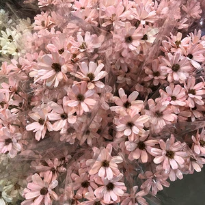 Fashionable Eco-Friendly Dried Flowers for Valentine's Day Wedding Decoration