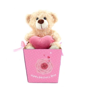 Super Soft Plush Stuffed Animal Bear Doll Teddy Bear Comforter Mother's Day Gift Box for Christmas Graduation New Year
