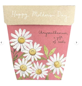 Mother's Day Earth Day Children's Day Gifts Most Creative Promotional Flower Gift Item Ideas