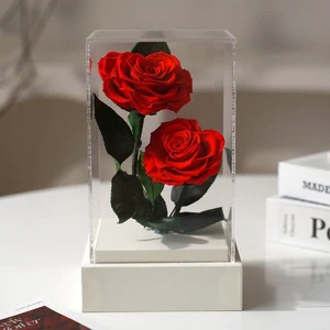 Christmas Valentine's Day Heartshaped Rose