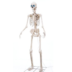 Outdoor Yard Decoration 8FT Projection Eyes Towering Spooky Creepy Standing Human Giant Halloween Skeleton