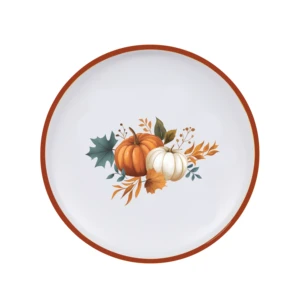 Thanksgiving Pumpkin Design Melamine Dinnerware Food Safe BPA Free for Backyard Gathering Holiday Feast and Home Kitchen Use