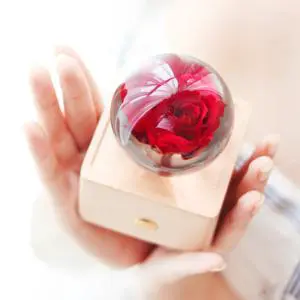 Happy New Year Product San Valentin Valentine's Day Birthday Gift for Bridesmaid Her Girlfriend Wife Dandelion Rose Flower Light