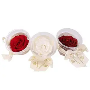 Mini Eternal Real Rose Head Party Favor Set of 4 Natural Preserved Roses for Mother's Day & Valentine's Day Gifts