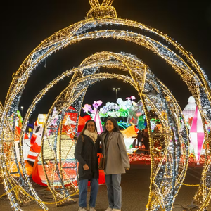 Best Selling Products Big Light Show Christmas Led Motif Christmas Lights Show Displays
