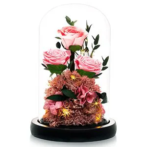 New Product Ideas 2024 Forever Preserved Roses Dome Valentine Day Thank Anniversary Birthday for Women Wife Girlfriend Gift Item