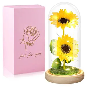 New Product Ideas 2024 Valentines Day Gifts for Her New Design Home Indoor Colorful Rose Gifts for Mom Customize Gift Ideas