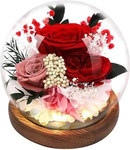 2025yearsValentines Day Gift Mother's Preserved Flowers Forever Rose Eternal Roses In Glass Dome For Women Girlsbest Quality