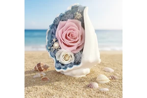 Preserved Flower Conch Ornament Cross-border TK Valentine's Day Creative Birthday Gift Preserved Flower Gift Box