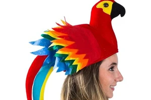 2025 Thanksgiving Brown Plush Turkey Hat Roasted Turkey Costume Party Accessory Holiday Supplies Accessory
