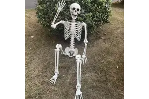 Cheap Standing Outdoor Indoor 5.4Ft 5 Ft 160cm Human Hold Postures Halloween Skeletons For Sale