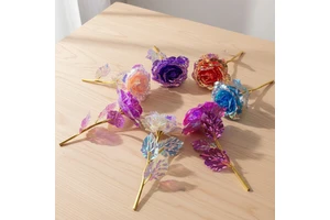 2026 Valentine's Day Gift PP-H100 Brand Colored Gold Foil Everlasting Rose Flowers-Zhejiang Origin Valentine's Day Gift for Your