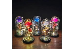 Valentine's Day Mother's Day Wedding Gifts Forever Rose Galaxy in Glass With Led Valentine Gifts Rose