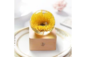Innovative Products 2024 New Idea Sunflower Carnation Resin Night Light Eco Friendly Mom Mothers Day Gift for Girls