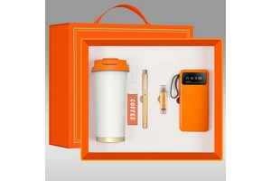 High-End Business Gift Set for Father's Day with Customized Logo and Modern Design Includes 500ml Mug Pen 10000mAh USB Power Bank