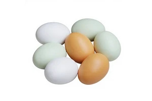 Solid Wood Infant Eggs DIY Hand Painted Graffiti Easter Play Toys Wholesale