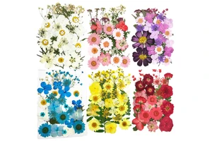Eco-Friendly DIY Art Crafts Graduation Wedding Halloween Valentine's Day Mother's Day Christmas Easter Dried Pressed Flower Kits
