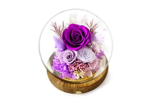 Hot Valentines Day Gifts Eternal Real Rose Everlasting Bella New Product Ideas 2025 Forever Roses Preserved Flower in Glass Dome