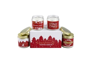 Wholesale Christmas Scented Candle 4 Piece 100G Glass Candles Gift Set Private Label Custom Fragrance Holiday Home Aromatherapy