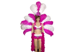 Hot Samba Costumes/carnival Costume for Sale