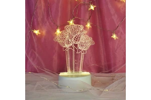 Rose Flowers 2025 San Valentines Kids Set Adults Mothers Day Gift Father Lady Wife Present Items 3D LED Acrylic Night Lamp