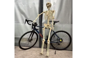 Halloween Skeleton Simulation Human Skeleton Ghost House Party Decoration Props Horror Skeleton Human Anatomy Science Teaching