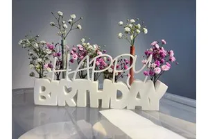 Color Customizable Plastic Personalized Fashionable Birthday New Year Wedding Chinese New Year Thanksgiving Party Decor