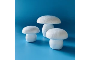 Unfinished Mushroom Blank Foam Mushroom Unpainted Mushroom Figurine White Easter Foam Polystyrene Shapes Painting