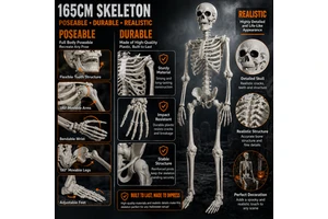 Halloween Skeleton 5ft/165cm Life Size Movable Realistic Human Skeleton Props For Haunted House Home Decor Halloween Events