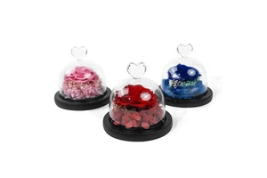 2026 Mother's Day Gift Eternal Flower Creative Gift Christmas Birthday Proposal Companion Gift