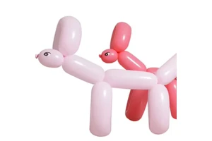 Party Supplies Eco-Friendly Latex Magic Balloon Single Birthday Graduation Halloween Easter Christmas Party Decor Kids Adult