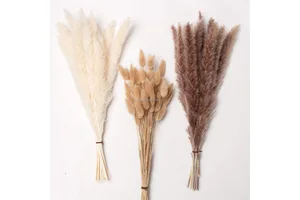 Pampas Grass Dry Flower Wedding Bouquet Long Lasting Yunnan Home Decor Valentine's Day Mother's Day Gift OEM Packing China