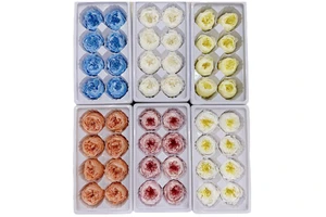 mothers day gifts 2025 preserved fresh flower rose head forever roses preserved flower mother's day gift set