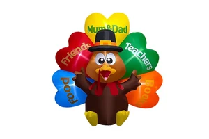 8FT Waterproof IP44 DC Thanksgiving Inflatables Turkey Pilgrim Hat Colorful Tail Built-in LED Lights Light up Eco-friendly Fall
