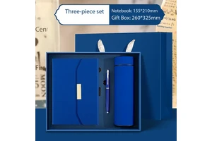 Custom Business Umbrella Water Cup High-End Planner Notepad Gift Box Insulated Cup USB Flash Drive Father's Day Gift Sets