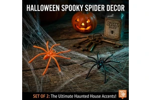 Halloween Children's Day Simulation Decoration Props Prank Toys Small Thin-legged Plastic Black Spider Outdoor