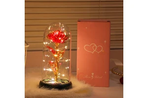 Mothers Day Flowers Gifts for Mom From Daughter Son Preserved Forever Glass Light up Rose Gifts for Wife Women Sister Girlfriend