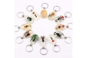 Middle Size Luminous Real Insects Scorpion In Resin Keychains