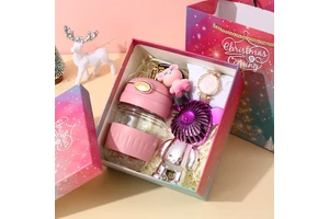 Souvenir Small Gifts Mother's Day Company Opening High-End Employee Benefits Creative Gift Set Model SD-13 High Aesthetic Value