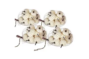 Velvety Pumpkin Set Of 4 In Mesh Bag White For Fall Harvest Festival Thanksgiving Decorations